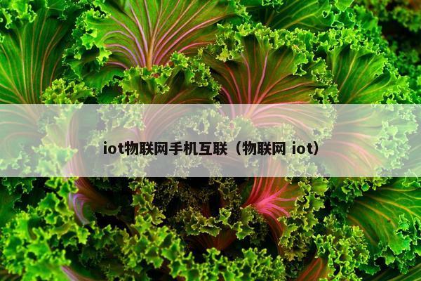 iot物联网手机互联（物联网 iot）