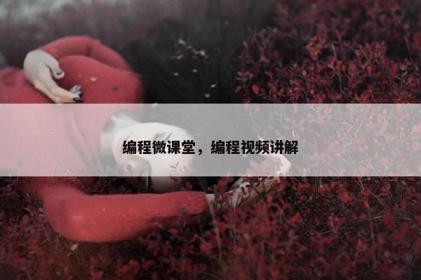 编程微课堂，编程视频讲解