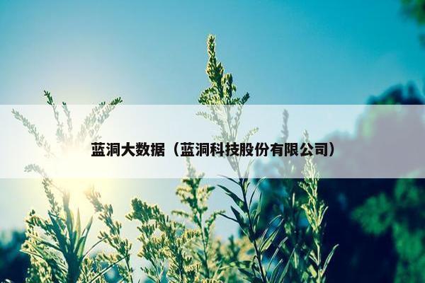 蓝洞大数据（蓝洞科技股份有限公司）