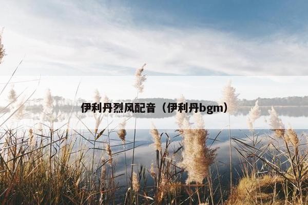 伊利丹烈风配音（伊利丹bgm）