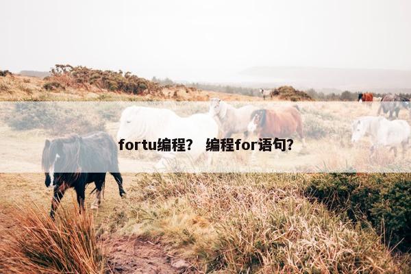 fortu编程？ 编程for语句？