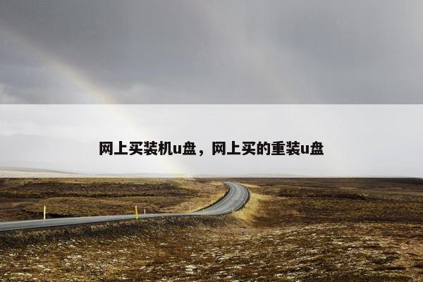 网上买装机u盘，网上买的重装u盘