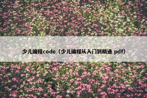 少儿编程code（少儿编程从入门到精通 pdf）