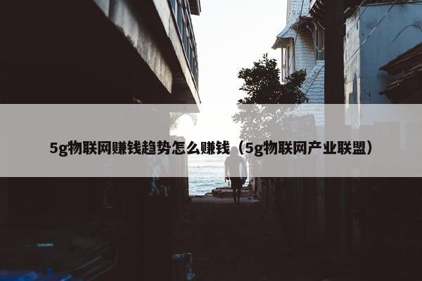 5g物联网赚钱趋势怎么赚钱（5g物联网产业联盟）