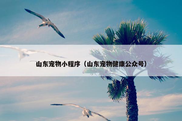 山东宠物小程序（山东宠物健康公众号）