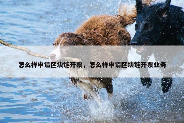 怎么样申请区块链开票，怎么样申请区块链开票业务