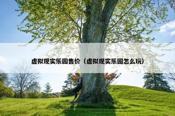 虚拟现实乐园售价（虚拟现实乐园怎么玩）