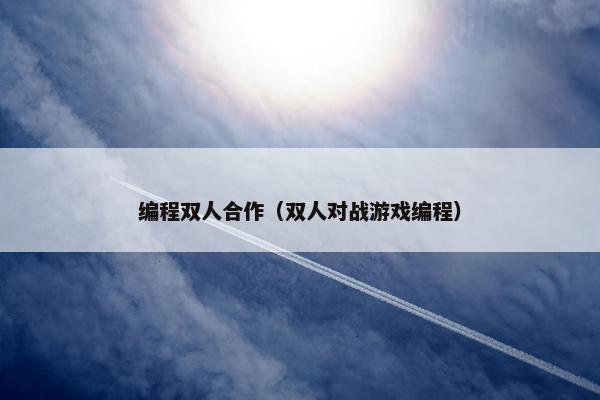 编程双人合作（双人对战游戏编程）