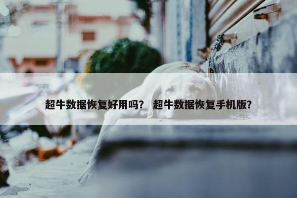 超牛数据恢复好用吗？ 超牛数据恢复手机版？