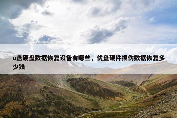 u盘硬盘数据恢复设备有哪些，优盘硬件损伤数据恢复多少钱