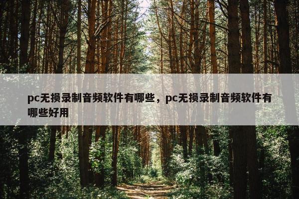 pc无损录制音频软件有哪些，pc无损录制音频软件有哪些好用