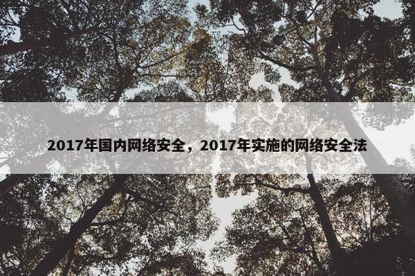 2017年国内网络安全，2017年实施的网络安全法