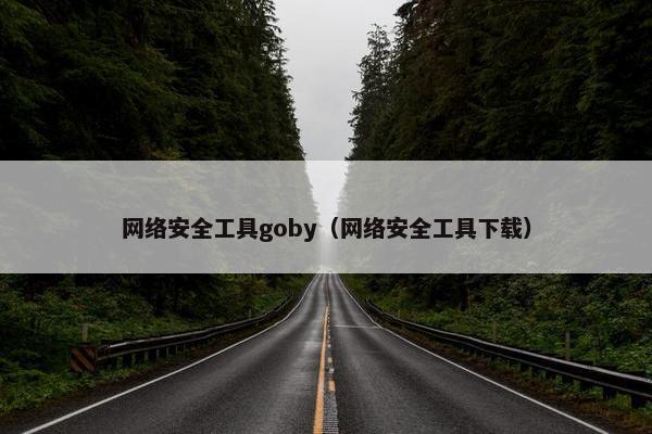 网络安全工具goby（网络安全工具下载）