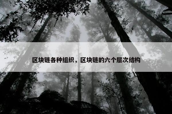 区块链各种组织，区块链的六个层次结构