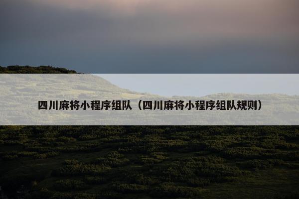 四川麻将小程序组队（四川麻将小程序组队规则）