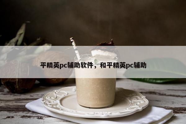 平精英pc辅助软件，和平精英pc辅助