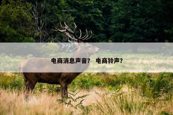 电商消息声音？ 电商铃声？