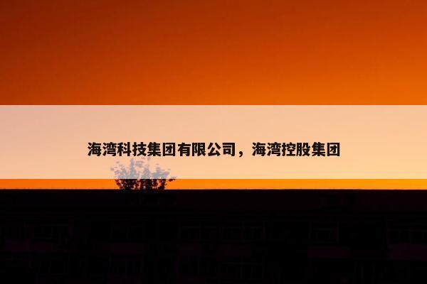 海湾科技集团有限公司，海湾控股集团