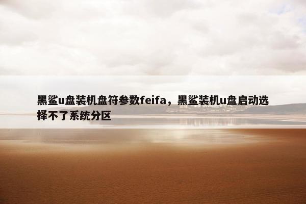 黑鲨u盘装机盘符参数feifa，黑鲨装机u盘启动选择不了系统分区