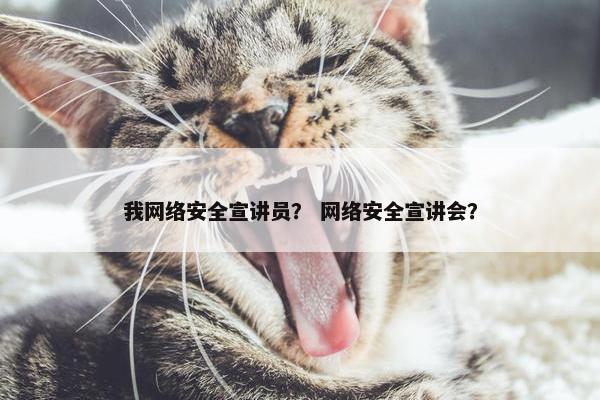 我网络安全宣讲员？ 网络安全宣讲会？