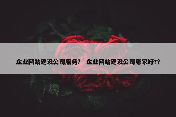 企业网站建设公司服务？ 企业网站建设公司哪家好?？