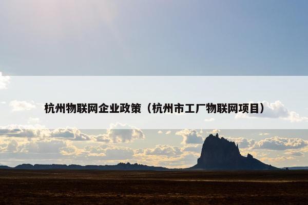 杭州物联网企业政策（杭州市工厂物联网项目）