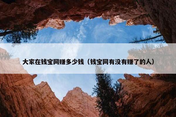 大家在钱宝网赚多少钱（钱宝网有没有赚了的人）