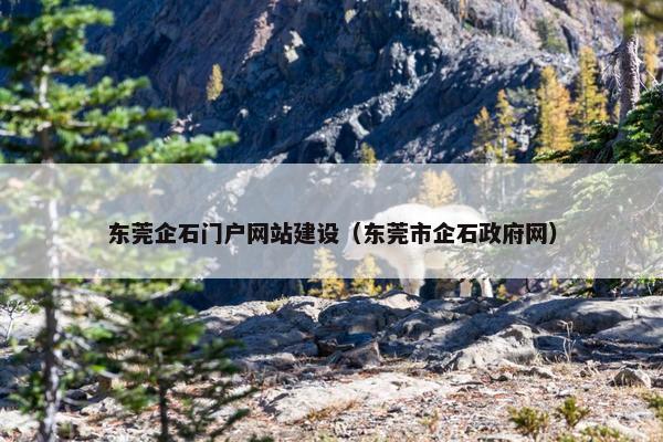 东莞企石门户网站建设（东莞市企石政府网）