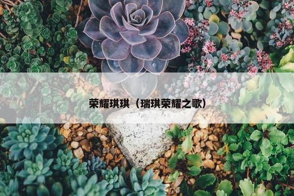 荣耀琪琪（瑞琪荣耀之歌）