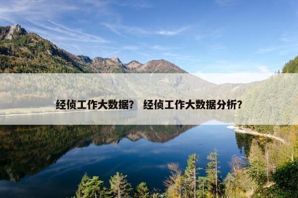 经侦工作大数据？ 经侦工作大数据分析？
