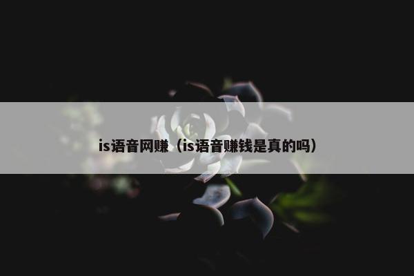 is语音网赚（is语音赚钱是真的吗）