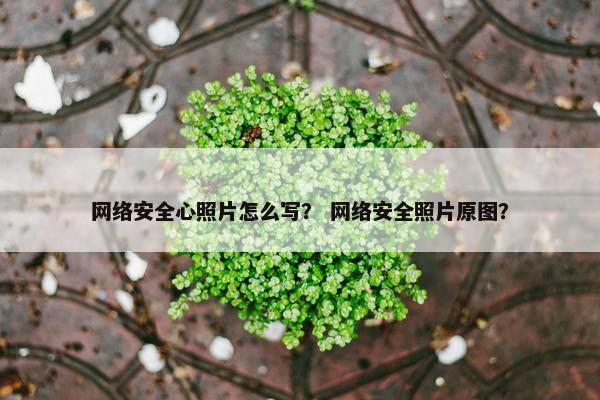 网络安全心照片怎么写？ 网络安全照片原图？
