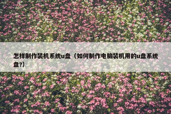 怎样制作装机系统u盘（如何制作电脑装机用的u盘系统盘?）
