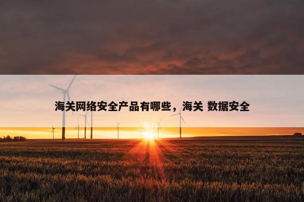 海关网络安全产品有哪些，海关 数据安全