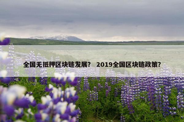 全国无抵押区块链发展? 2019全国区块链政策? 全国无抵押区块链发展? 2019全国区块链政策?
