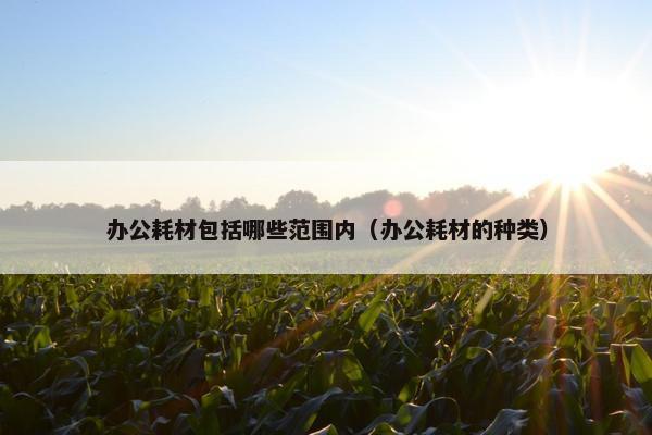 办公耗材包括哪些范围内(办公耗材的种类) 办公耗材包括哪些范围内(办公耗材的种类)