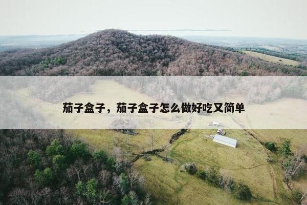 茄子盒子，茄子盒子怎么做好吃又简单
