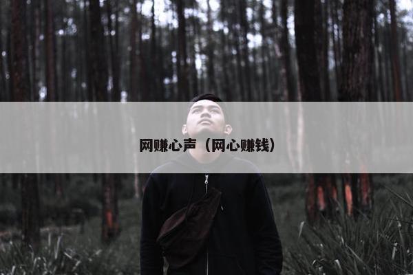网赚心声（网心赚钱）