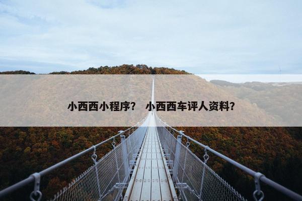 小西西小程序？ 小西西车评人资料？