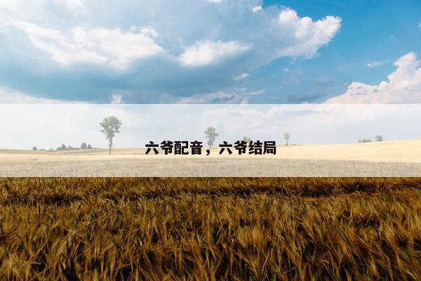 六爷配音,六爷结局 六爷配音,六爷结局