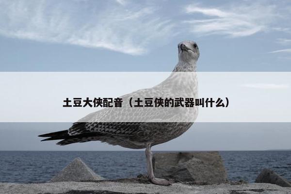 土豆大侠配音（土豆侠的武器叫什么）
