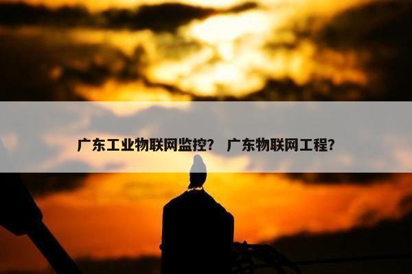 广东工业物联网监控？ 广东物联网工程？