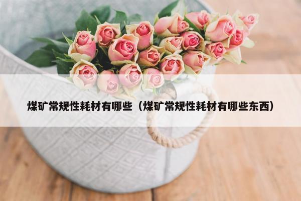煤矿常规性耗材有哪些（煤矿常规性耗材有哪些东西）