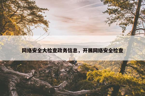 网络安全大检查政务信息，开展网络安全检查