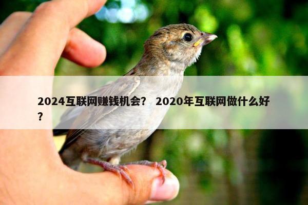 2024互联网赚钱机会？ 2020年互联网做什么好？