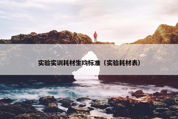 实验实训耗材生均标准（实验耗材表）
