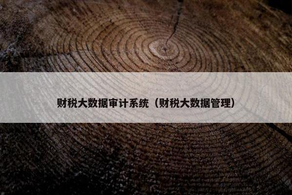 财税大数据审计系统（财税大数据管理）