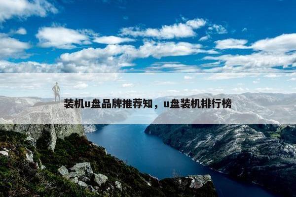 装机u盘品牌推荐知，u盘装机排行榜