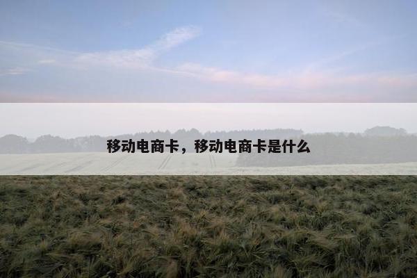 移动电商卡，移动电商卡是什么