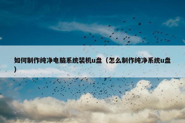 如何制作纯净电脑系统装机u盘（怎么制作纯净系统u盘）